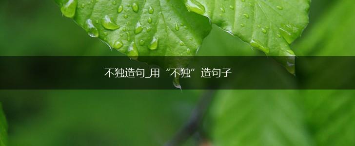 不独造句_用“不独”造句子,第1张