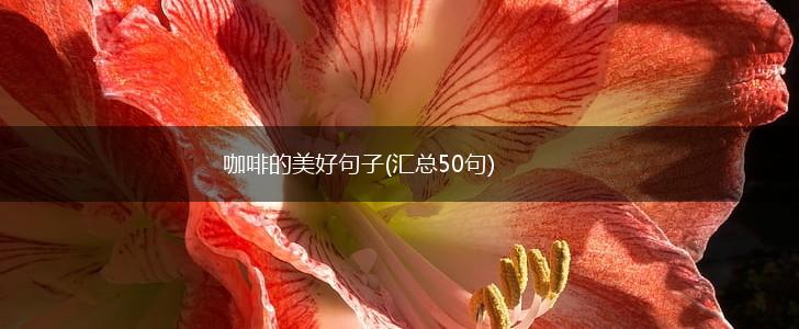 咖啡的美好句子(汇总50句),第1张