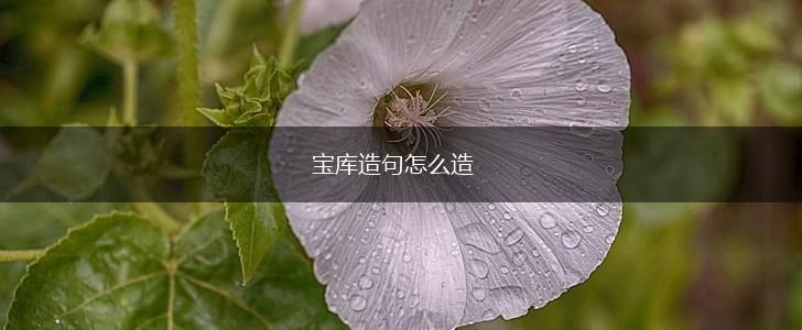 宝库造句怎么造,第1张