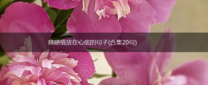 将感情放在心底的句子(合集20句),第1张