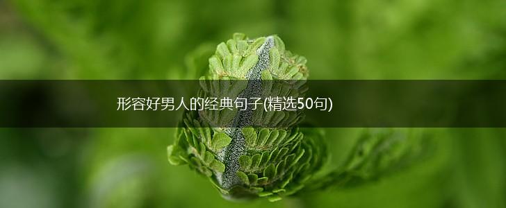 形容好男人的经典句子(精选50句),第1张