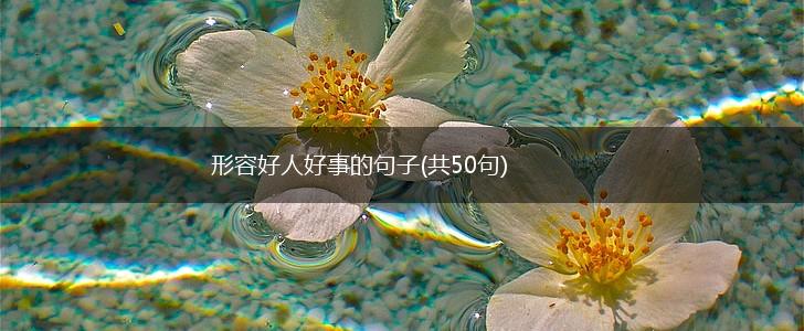 形容好人好事的句子(共50句),第1张