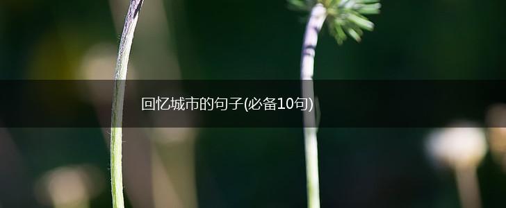 回忆城市的句子(必备10句),第1张