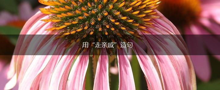 用“走亲戚”造句,第1张