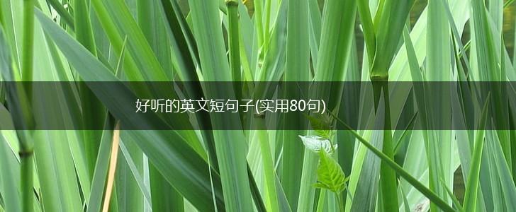 好听的英文短句子(实用80句),第1张