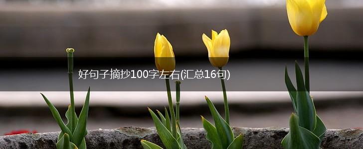 好句子摘抄100字左右(汇总16句),第1张