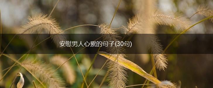 安慰男人心累的句子(30句),第1张