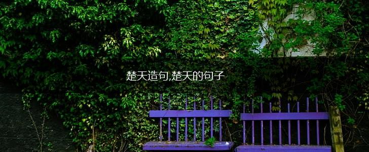 楚天造句,楚天的句子,第1张