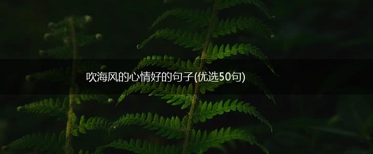 吹海风的心情好的句子(优选50句),第1张