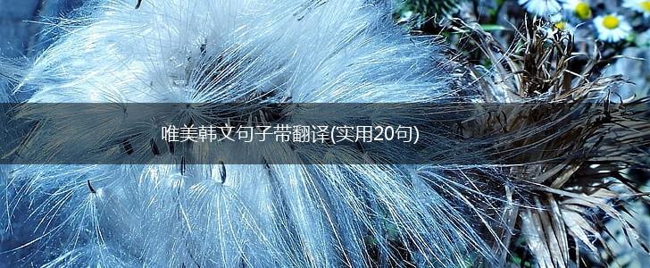 唯美韩文句子带翻译(实用20句),第1张