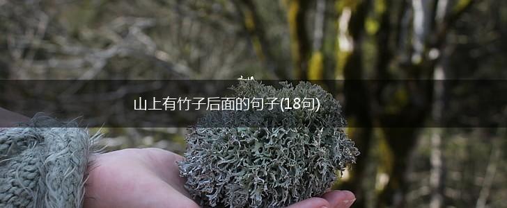 山上有竹子后面的句子(18句),第1张