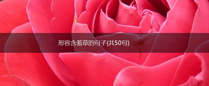 形容含羞草的句子(共50句),第1张