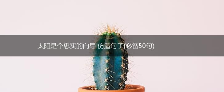 太阳是个忠实的向导 仿造句子(必备50句),第1张