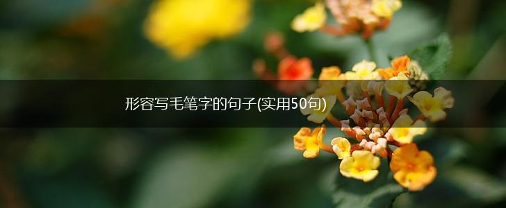 形容写毛笔字的句子(实用50句),第1张