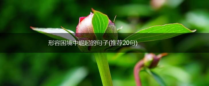 形容困境中崛起的句子(推荐20句),第1张