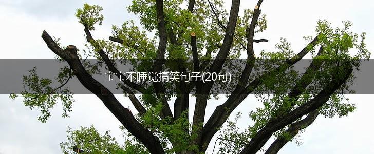 宝宝不睡觉搞笑句子(20句),第1张