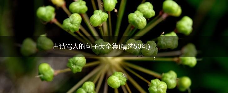 古诗骂人的句子大全集(精选50句),第1张