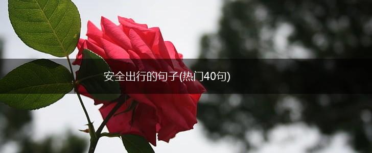 安全出行的句子(热门40句),第1张