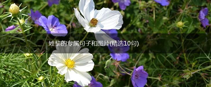 姓黎的专属句子和图片(精选10句),第1张