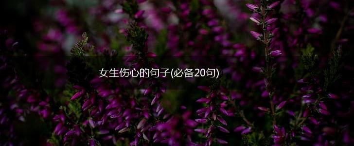 女生伤心的句子(必备20句),第1张