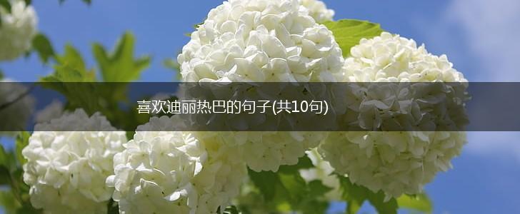 喜欢迪丽热巴的句子(共10句),第1张