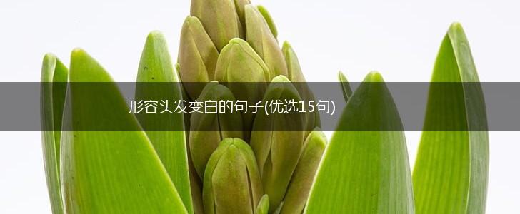形容头发变白的句子(优选15句),第1张