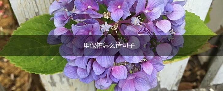 用保佑怎么造句子,第1张