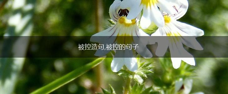 被控造句,被控的句子,第1张