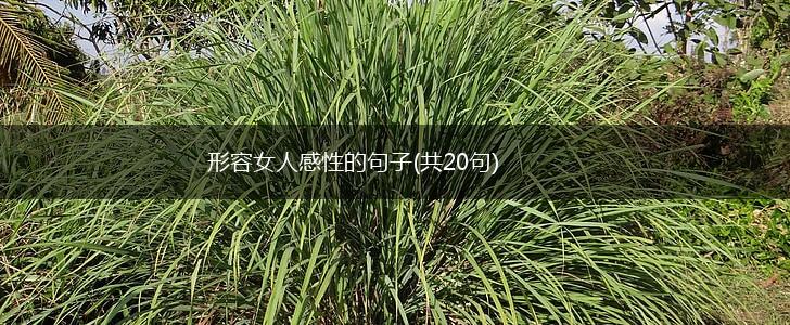 形容女人感性的句子(共20句),第1张