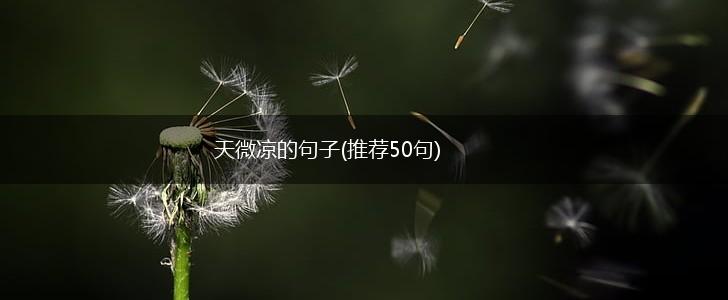 天微凉的句子(推荐50句),第1张