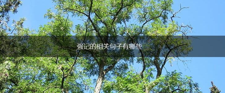 强记的相关句子有哪些,第1张