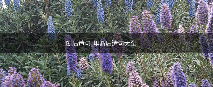 断后造句_用断后造句大全,第1张