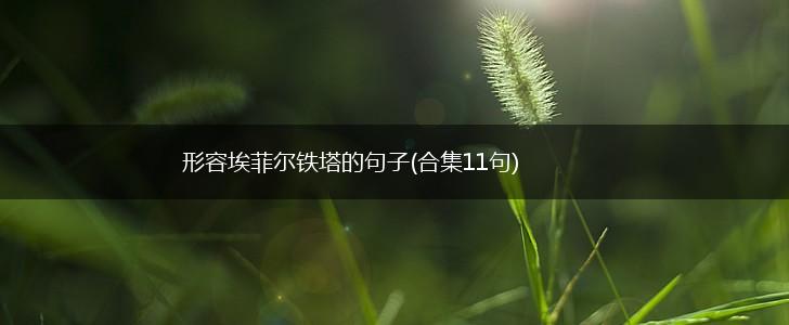 形容埃菲尔铁塔的句子(合集11句),第1张