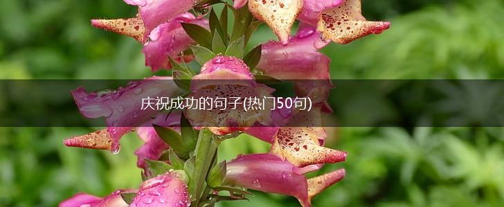 庆祝成功的句子(热门50句),第1张