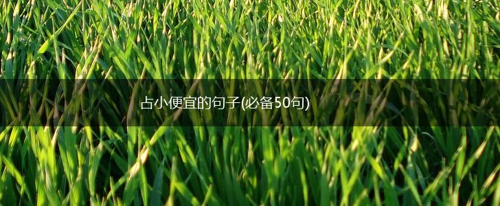占小便宜的句子(必备50句),第1张