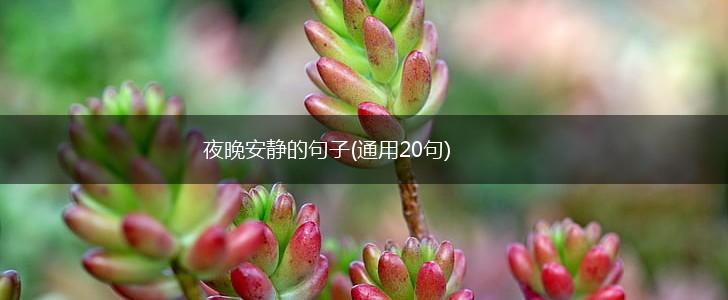 夜晚安静的句子(通用20句),第1张