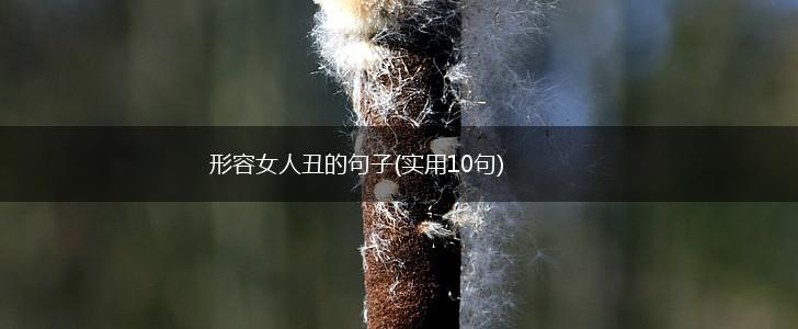形容女人丑的句子(实用10句),第1张