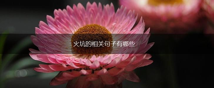 火坑的相关句子有哪些,第1张