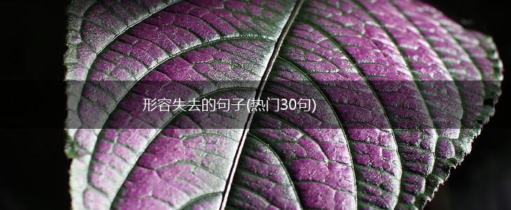 形容失去的句子(热门30句),第1张