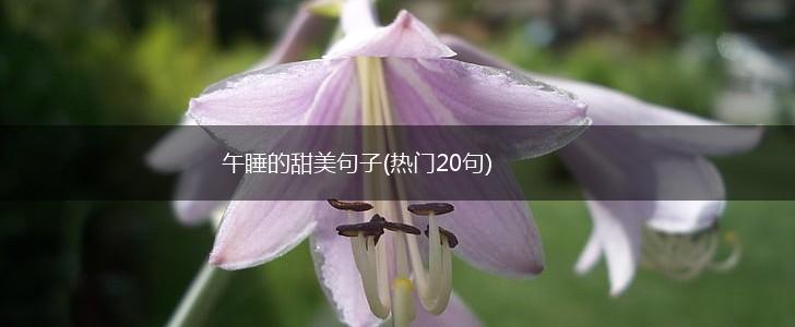 午睡的甜美句子(热门20句),第1张