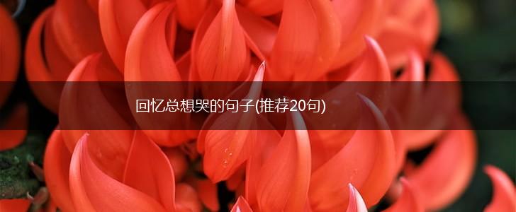 回忆总想哭的句子(推荐20句),第1张