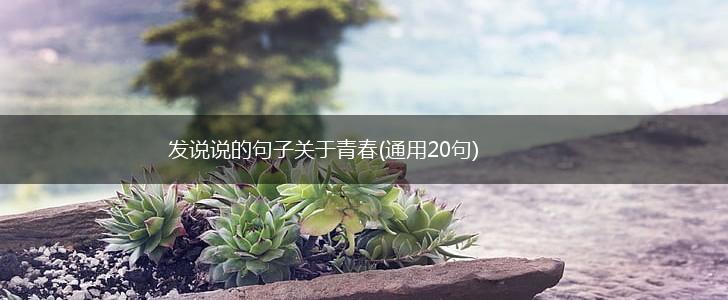 发说说的句子关于青春(通用20句),第1张