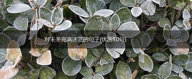 对未来充满迷茫的句子(优选50句),第1张