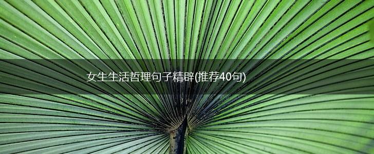 女生生活哲理句子精辟(推荐40句),第1张