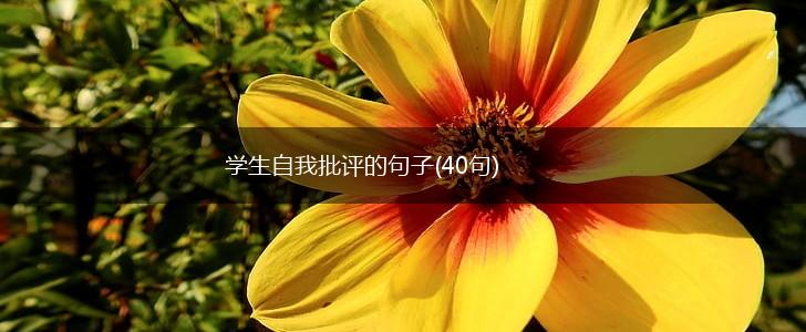 学生自我批评的句子(40句),第1张