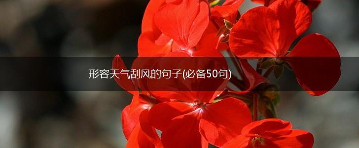 形容天气刮风的句子(必备50句),第1张