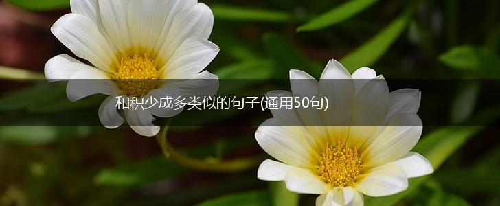 和积少成多类似的句子(通用50句),第1张