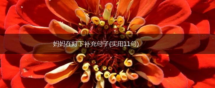 妈妈在灯下补充句子(实用11句),第1张
