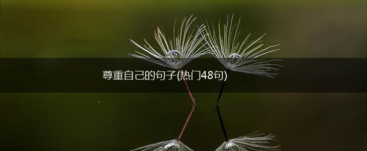 尊重自己的句子(热门48句),第1张