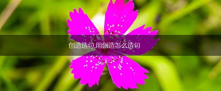 创造造句,用创造怎么造句,第1张